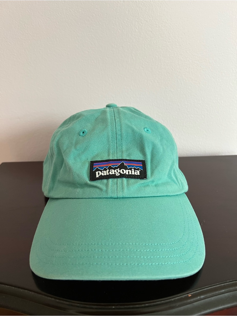 Patagonia Teal Green Baseball Cap with Logo Patch